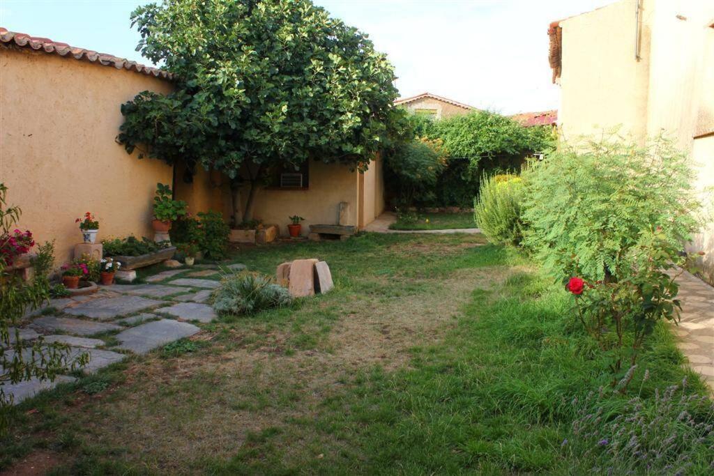 Casa Rural La Paloma - Zamora マンガネセス・デ・ラ・ランプレアナ エクステリア 写真